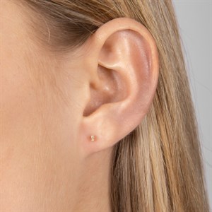  Piercing 14kt. guld ørestik m. 2 diamanter 314 204BR5